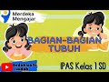 Body Parts and Their Functions Quiz