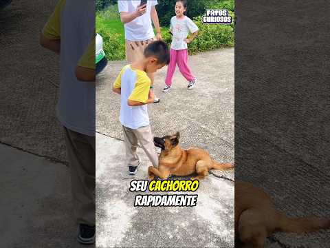 A ATITUDE DESSE CACHORRINHO COM SEU DONO EMOCIONOU A TODOS