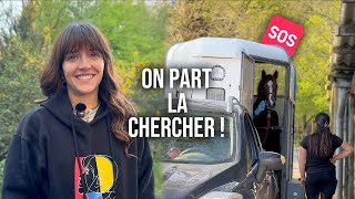 JE L'EMMÈNE FAIRE UN SAUVETAGE 🆘