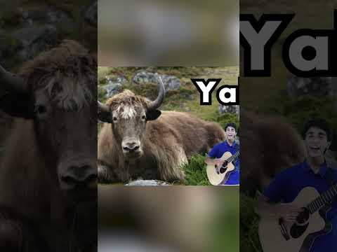 Do you know what the letter Y stands for? #letteroftheday