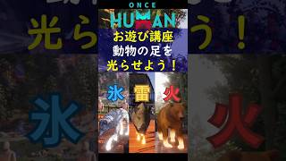 【Once Human】ペットの足が光る？！テイマー遺伝子で視覚効果ON！ #Shorts #ワンスヒューマン #oncehuman