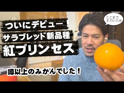 噂のみかん「紅プリンセス」特徴、旬の時期、食べ方など紹介