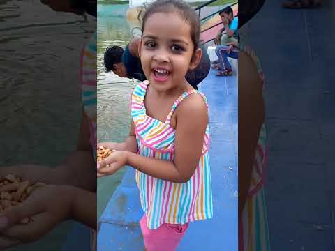 Golu machhaliyo ko dana khila #golumolupihu #shortsfeed #shorts