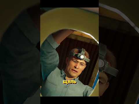 Медведь под туалетом