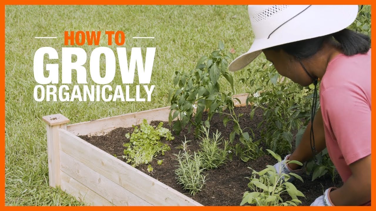 How to Get Started Growing Organic Gardens
