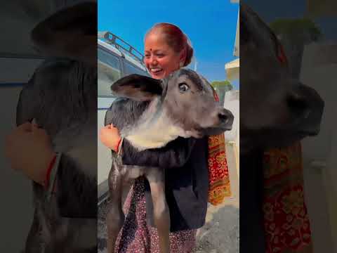 Gangnam Style 😳🤪 #shorts #funny #thebnbrothers