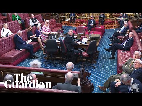 'Lords out, people in': protesters interrupt House of Lords proceedings