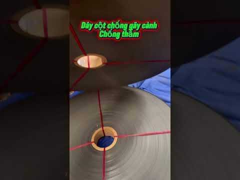 Mưa gió cônt cành đi bà con #bectuoicay #daycotcanh #bectuoiphunmua