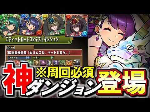 【周回必須な"3つ"の理由】新フロア「カミムスビ、ペットを飼う。」は神ダンジョン!!その理由とは...？新たな進化形態の性能解説と併せて!!～エディットモードコンテストダンジョン～【パズドラ】
