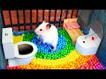 Pangunahing Konsepto ng Video Tutorial