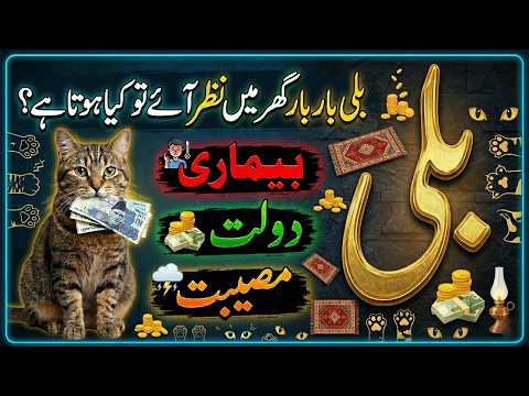 Bili Bar Bar Ghar Mein Nazar Aye To Kya Hota Hai? | Cat Coming To Your Home Every Day? | Watch This!