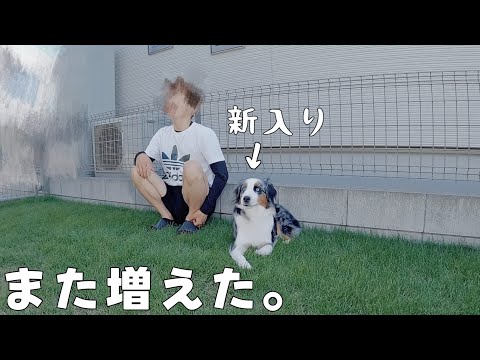 ”また”家族が増えました！