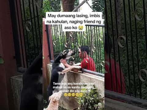 Kahit hinde kilala ni doggy si kuya lumapit parin sya🥺#youtubeshorts #viral #viralreels #viralvideo
