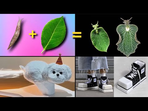 30 COISAS QUE VOCÊ NÃO SABIA EM 10 MINUTOS 🧠⏳[228]