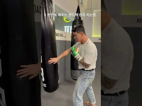 1분안에 배우는 샌드백 펀치치는법 #로드fc #김태인 #챔피언 #mma #샌드백 #shorts