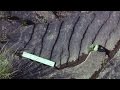 Sedimentary Rocks and Weathering Concepts
