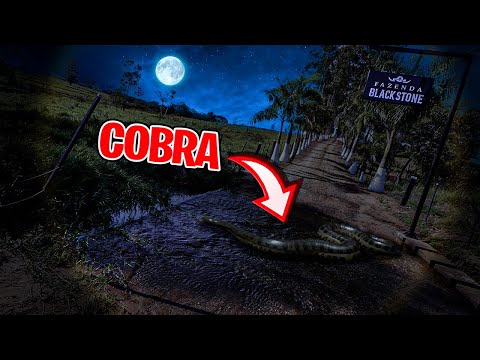 S.O.S FAZENDA🚨 UMA SUCURI PRETA GIGANTE FOI VISTA NA FAZENDA! *anaconda*😱