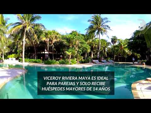 viceroy conocedores