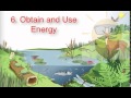 Exploring the 8 Characteristics of Life
