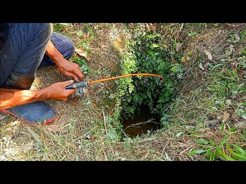 PEMANCING IKAN LEMBAT | MANCING IKAN LEMBAT DAPAT BANYAK DI LUBANG BESAR | fishing 2024