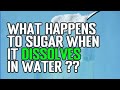 Understanding Sugar Solutions and Dissolution