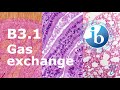 Gas Exchange and Hemoglobin Function