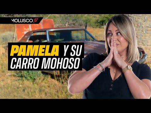 Molusco humilla a Pamela por su carro viejo. Alí la defiende