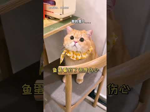 Milo dibuatin boneka salju dari busa #shorts