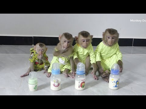 Good Behaviour !! Four Little Sit Very Silently Waiting Mom Mixed Milk