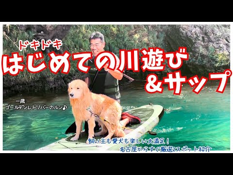愛犬とはじめての川遊び＆サップ乗り【岐阜県武儀川と愛知県トコドッグにて】