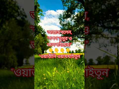 তিন ফলের গুণ জানেন? ডুমুর, জলপাই আর খেজুর  কোরআনে উল্লেখিত ফল #কোরআনের_ফল #ডুমুর #জলপাই #shortvideo