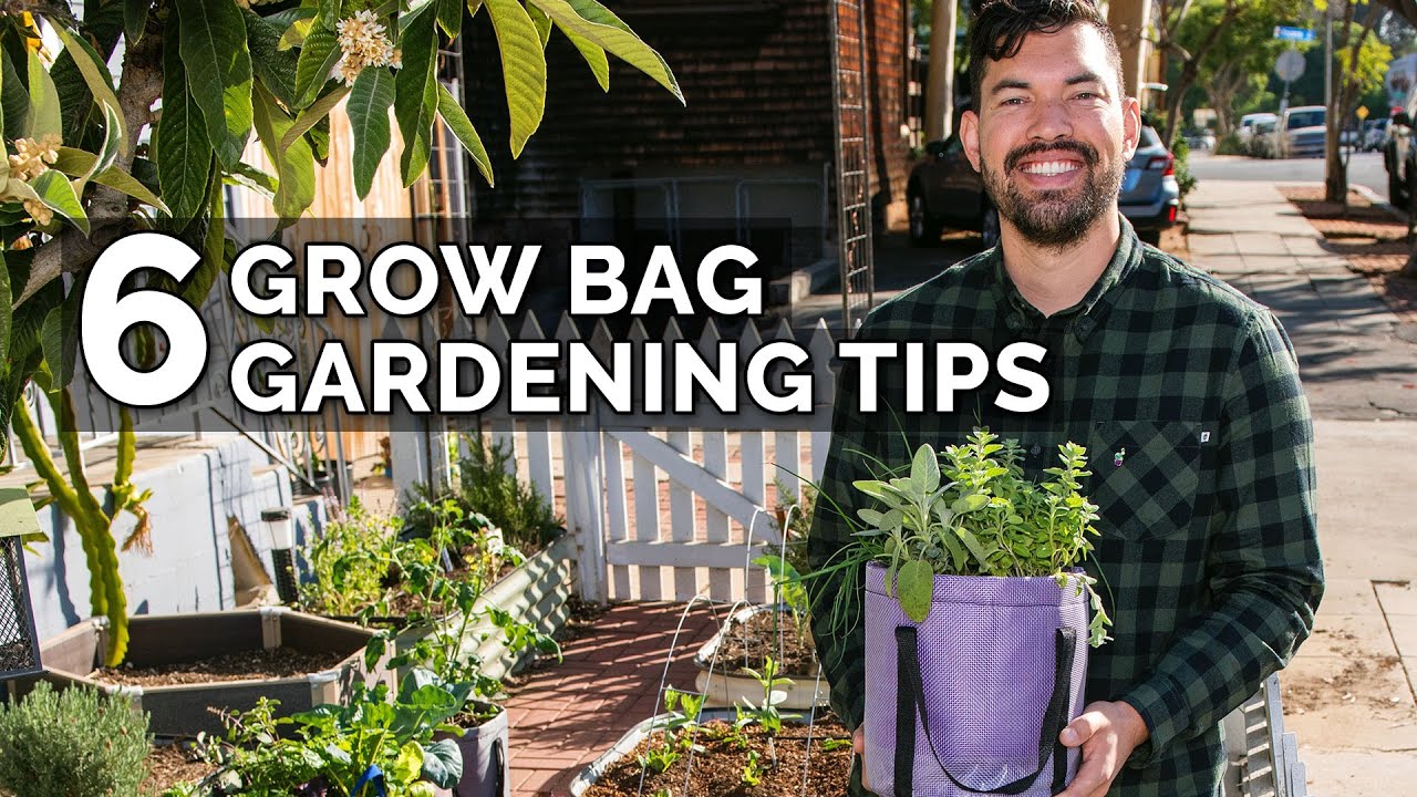 6 Secret Grow Bag Techniques to Maximize Your Results