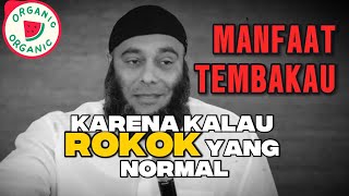TEMBAKAU BANYAK MANFAATNYA