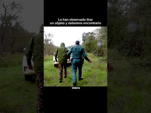 Detenido en medio del bosque! ⬆️ #naturaleza #animales #shorts