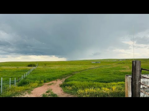 Wyoming Thunderstorm Incoming | New Hatchlings & Project Updates