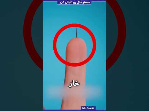 چطور یه خرده چوب رو در بیاریم ! 😨