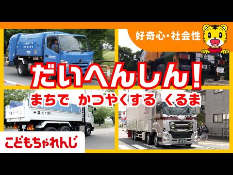 【11分まとめ】のりもの大変身！| はたらくくるま | 子ども向け動画詰め合わせ| しまじろうチャンネル公式