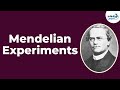 Understanding Mendel's Experiments