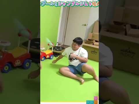 切り抜き◆最後の500個目のボール投入!エイチの大好きなおもちゃセット完成◆ #shorts #切り抜き #ひめちゃんとおうくん