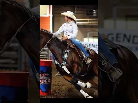 Who you gunna call? #blowup #horse #barrelhorse #barrelracing #rodeolife #rodeohorse #bayhorse #fypp