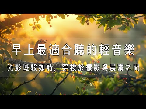 早上最適合聽的輕音樂🎵3小时的沉静音乐，光影斑駁如詩，穿梭於櫻影與晨霧之