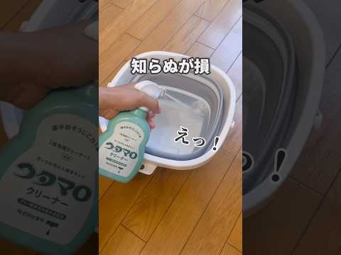 【知らないと大損】ウタマロ活用術