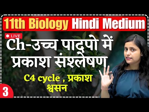 11th Biology| L-3 | Ch - उच्च पादपो में प्रकाश संश्लेषण | C4 cycle , प्रकाश श्वसन  | hindi medium