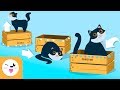 Exploring Spatial Relationships for Kids