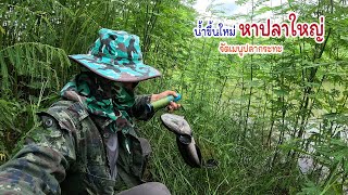 ช่วงปลาเข้านั่งเป็นเจอตัว หมานจนแม่บ้านจัดเมนูปลากระทะให้แซ่บๆ