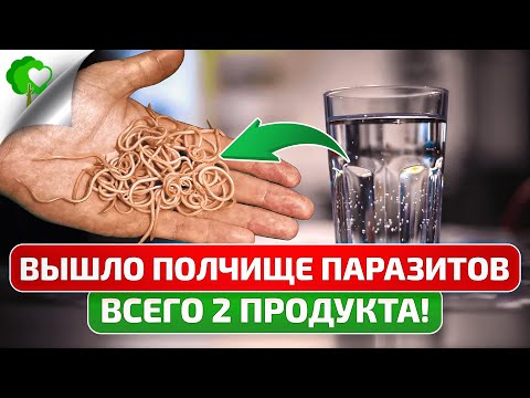 Своим даю только ЕГО: раз в полгода «гоним» паразитов! Глисты, острицы, бычий цепень и даже...