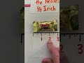 Measuring Lengths with a Ruler