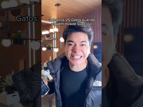 GATOS VS CACHORROS QUANDO ALGUÉM INVADE SUA CASA 😹 KKKKK