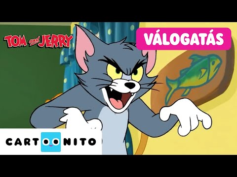 Tom és Jerry legjobbjai: Időtlen gyűjtemény a legviccesebb pillanatokból | Tom és Jerry | Cartoonito