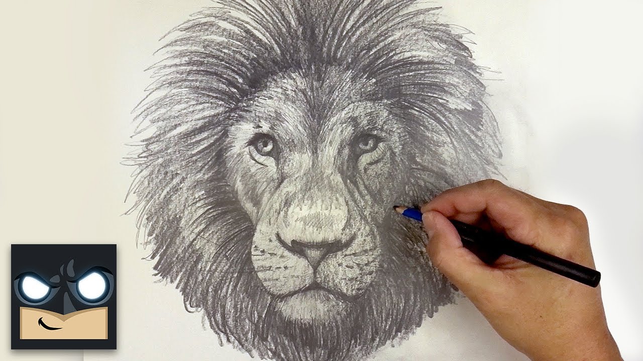 How To Draw a Lion - Sketch Saturday